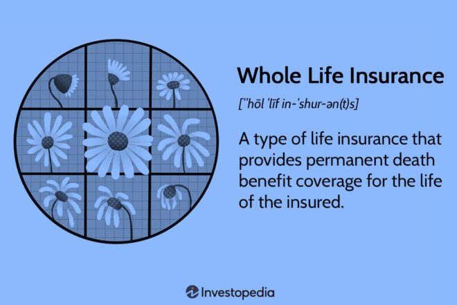 Types of Whole Life Insurance